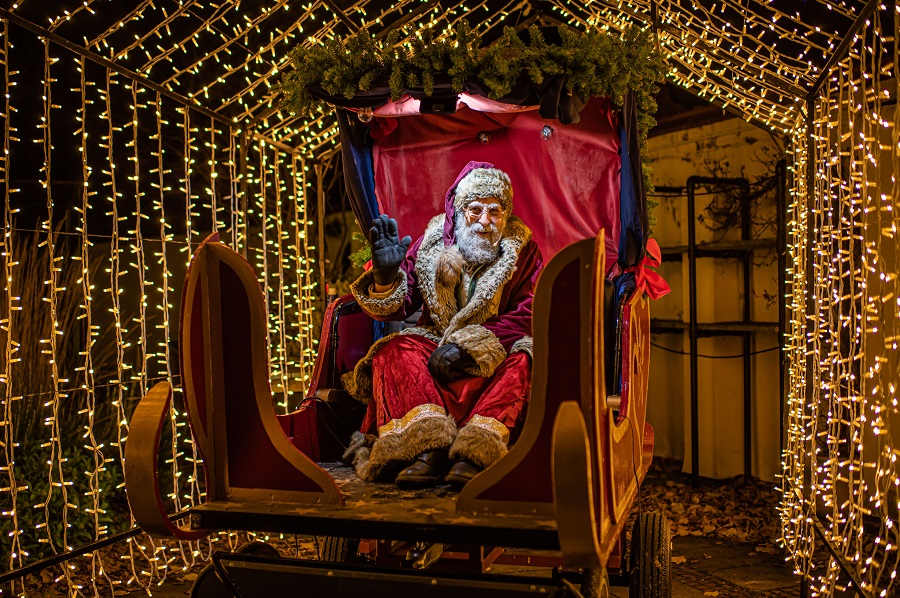 Father Christmas at Chester Zoo Lantern and Lighst